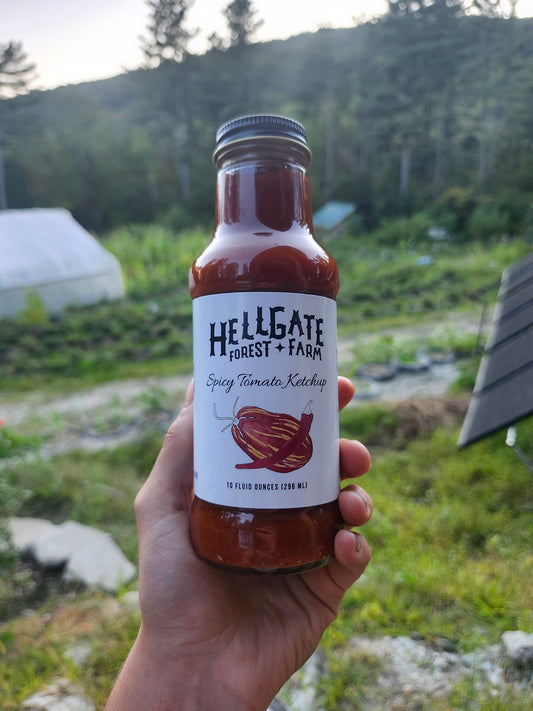 Hand holding bottle of "Spicy Tomato Ketchup". Photo overlooks Hellgate Forest Farm's plots, high tunnel, and solar array.